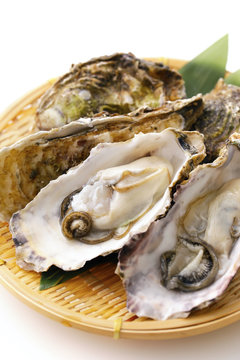 生牡蠣　Oysters