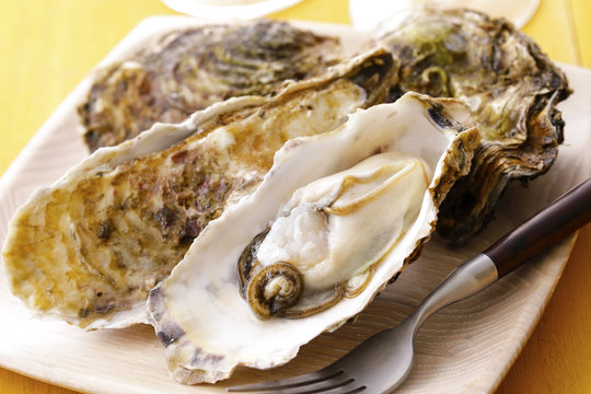 生牡蠣　Oysters