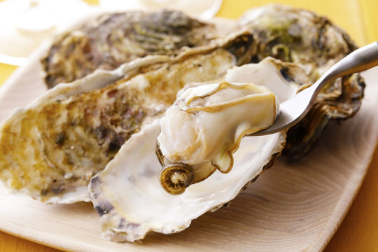 生牡蠣　Oysters
