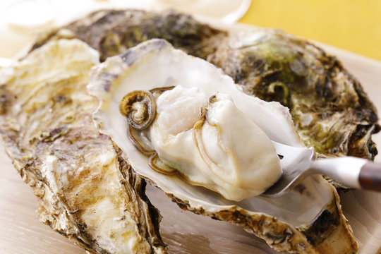 生牡蠣　Oysters