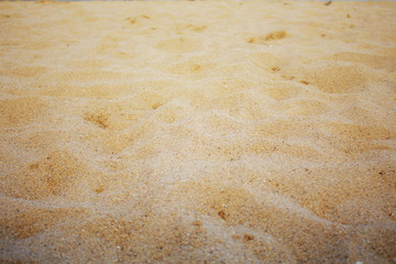Sand with a background.