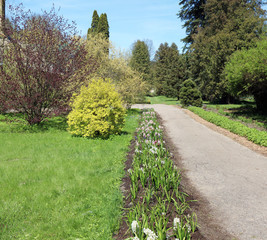 Fototapeta na wymiar Road conducts to the spring European garden.