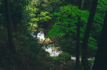 Nakasendo Trail, Japan