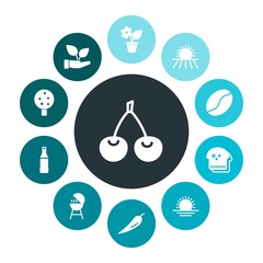 food, nature, drinks Infographic Colorful fill Icons Set. Contains such Icons as  brown,  loaf,  bbq,  sliced,  white,  red,  ecology,  eco,  pot,  spicy,  diet and more. Fully Editable. Pixel Perfect