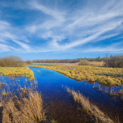spring prairie road  in a water
