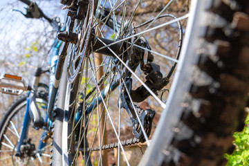 Mountain bike wheel with disc brake close up