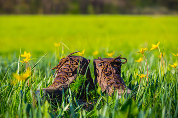 closeup old touristic boots among a green field with flowers