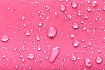Drops of water on a color background. Pink. Toned