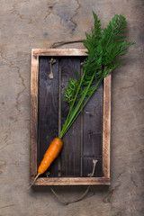 Fresh vegetables and herbs on a wooden burned rustic texture for background. Rough weathered wooden board