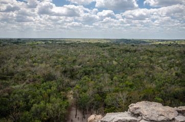 Scenic view of the mayan jungle from the Nohoch Mul