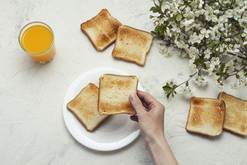 Female hand holding toast, glass of orange juice, leafy twigs tree with flowers. Breakfast concept. Flat lay, top view