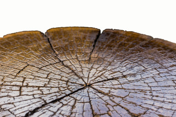 pattern or cracks on hardwood