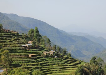 Champs en terrasses et maisons de ferme traditionnelles à Landruk, Népal.