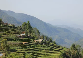 Photo sur Plexiglas Népal Champs en terrasses et maisons de ferme traditionnelles à Landruk, Népal.