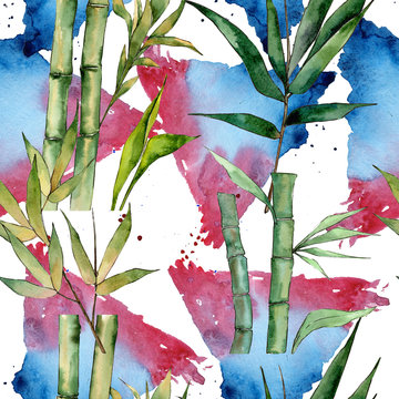Bamboo tree pattern in a watercolor style. Aquarelle wild bamboo tree for background, texture, wrapper pattern, frame or border.