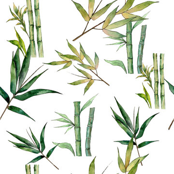 Bamboo tree pattern in a watercolor style. Aquarelle wild bamboo tree for background, texture, wrapper pattern, frame or border.