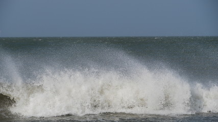 Fototapeta premium Wellen am Strand von Borkum