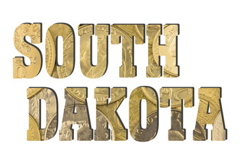 South Dakota. Shiny golden coins textures for designers. White isolate