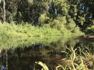 Clouds and sun in the lake