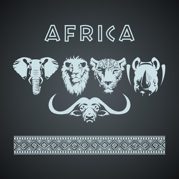 African big five animals and pattern