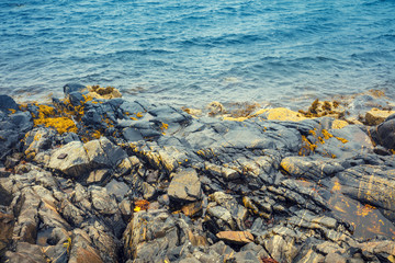 Rocky beach. Atlantic shore. Sea coast. Beautiful wilderness of Norway