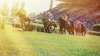 Foto op Canvas Race paarden met jockeys op het rechte stuk. © murmakova