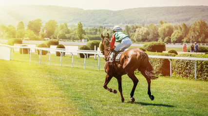 Race horses with jockeys on the home straight. - obrazy, fototapety, plakaty
