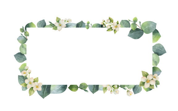 Watercolor vector frame with green eucalyptus leaves, Jasmine flowers and branches.