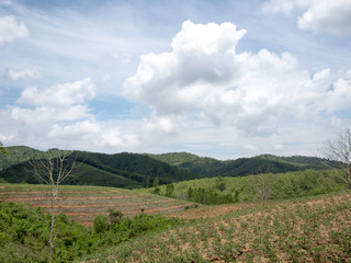 Fototapeta na wymiar View of the farmland