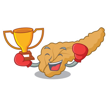 Boxing winner pancreas mascot cartoon style