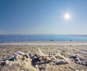 Fototapeta na wymiar coast of a saline lake at the hot summer day