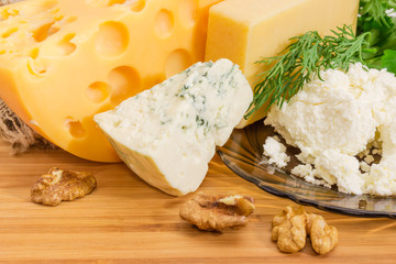 Various cheese and cottage cheese closeup at selective focus