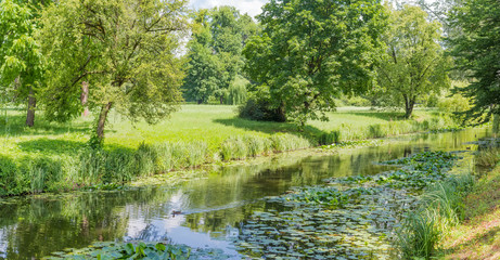 Panorama of the river in the park in summer day