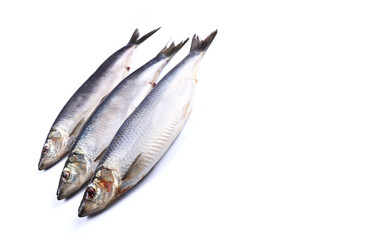 Three Herring fish on a white background  (isolated). Close up