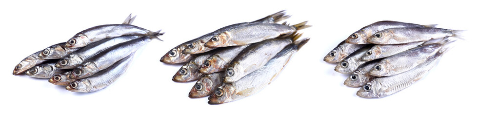 Little fish on a white background  (isolated). Close up