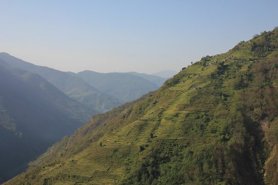 Steep hill with terraced fields. Ghandruk, Nepal.