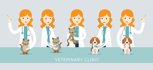 Female Veterinarian Checkup Pets, Cats and Dogs, vaccination, Clinic or Hospital