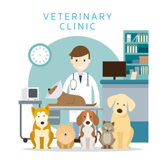 Male Veterinarian with Pets, Group of Cats and Dogs, Clinic or Hospital
