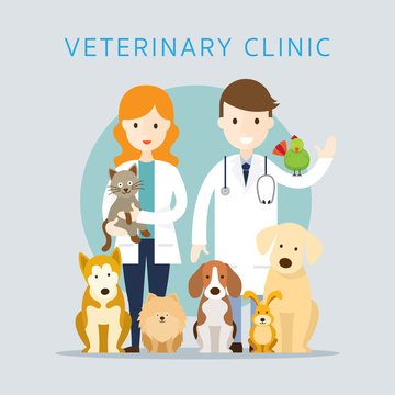 Male & Female Veterinarian with Pets, Group of Animals, Clinic or Hospital