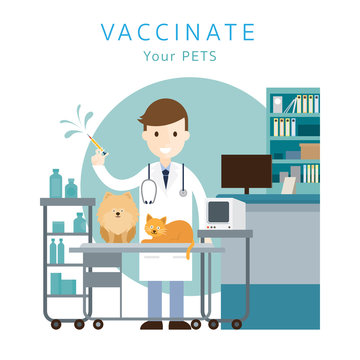 Male Veterinarian Vaccinate Pets, Cats and Dogs, Clinic or Hospital