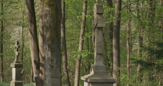 Old cemetery in the forest, tilt left, spring, 4k
