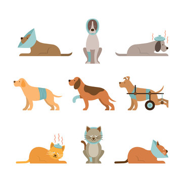 Cats And Dogs Get Sick, Injured, Hurt, Wounded, Vector Set