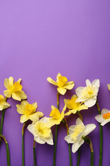 Beautiful flowers background