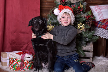 boy with a black dog with a mongrel in Christmas caps at a Christmas tree
