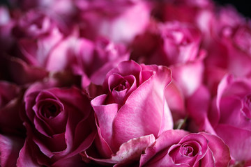 Close-up macro photo of bouquet of roses