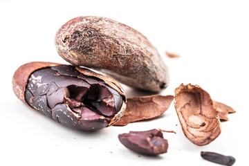 Kakao Bohnen auf weissem Hintergrund