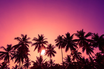 Tropical sunset coconut palm trees silhouettes - obrazy, fototapety, plakaty