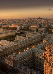 Naklejka premium Paris from above