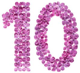 Arabic numeral 10, ten, from flowers of lilac, isolated on white background