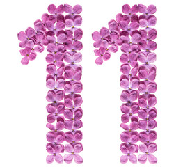 Arabic numeral 11, eleven, from flowers of lilac, isolated on white background